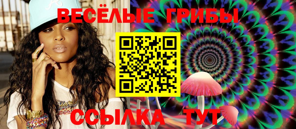 Светлоград  Псилоцибиновые грибы GOLDEN TEACHER  Вход с VPN 
