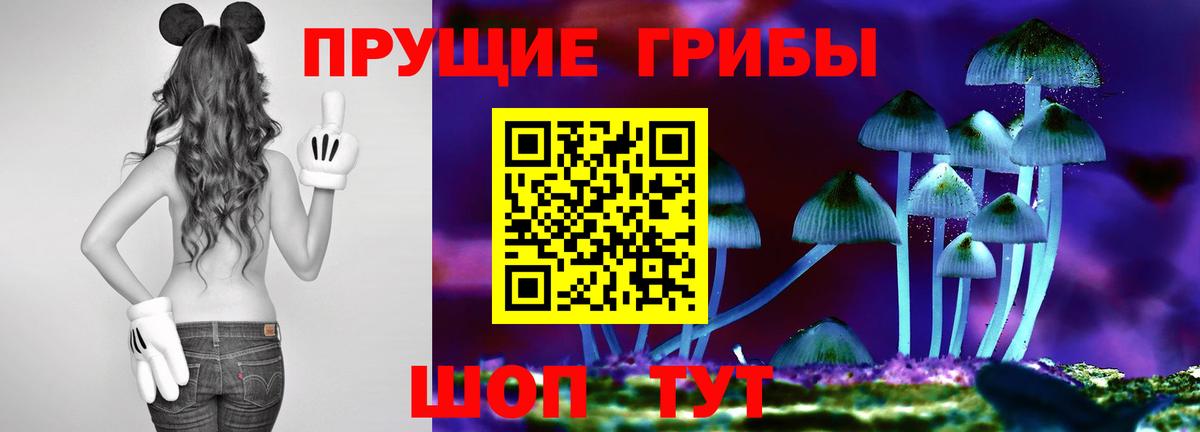 Псилоцибиновые грибы Magic Shrooms  купить закладку  Светлоград 
